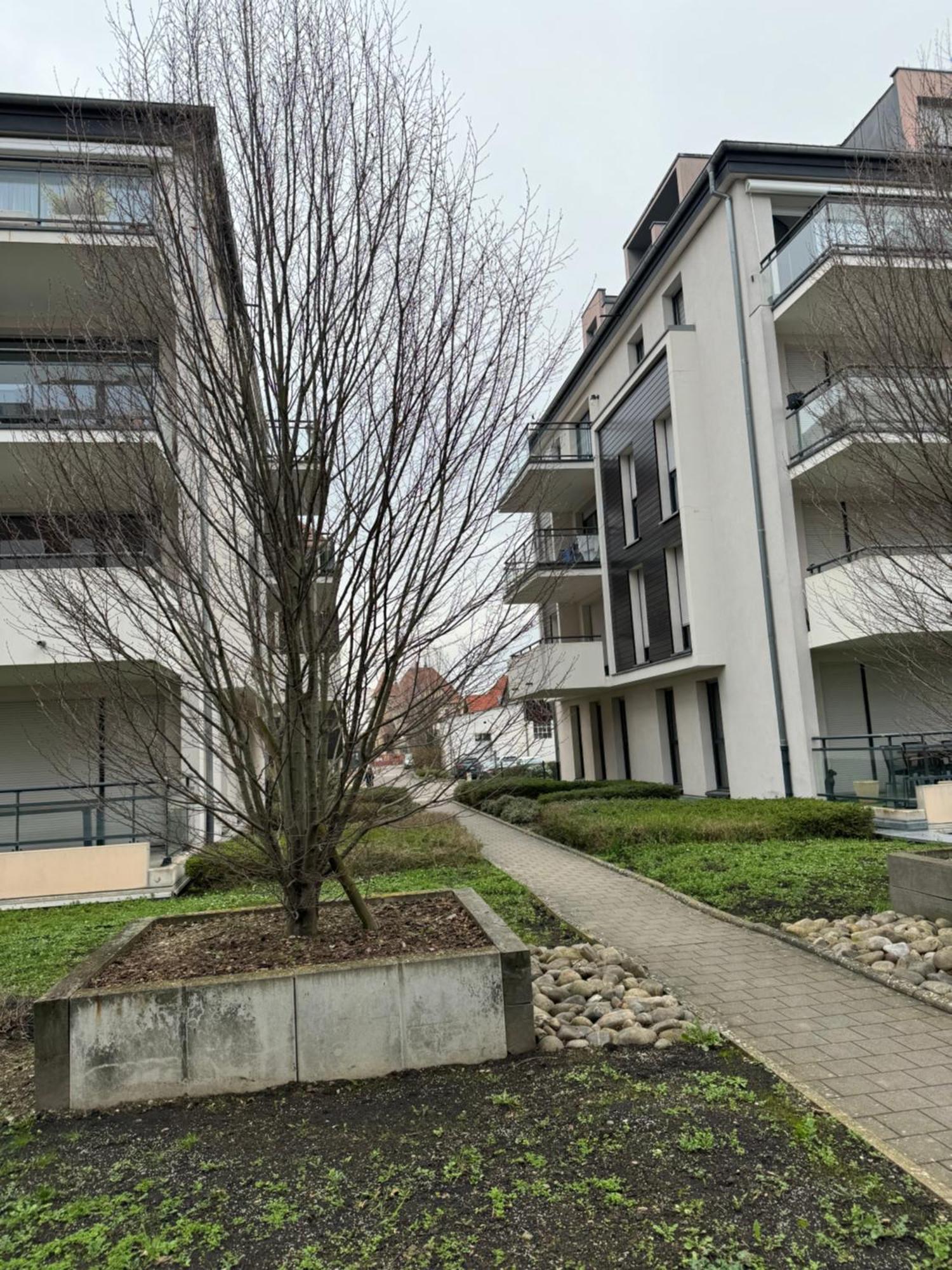 Le "Petit Colmarien" A 1Mn Du Centre Apartamento Exterior foto